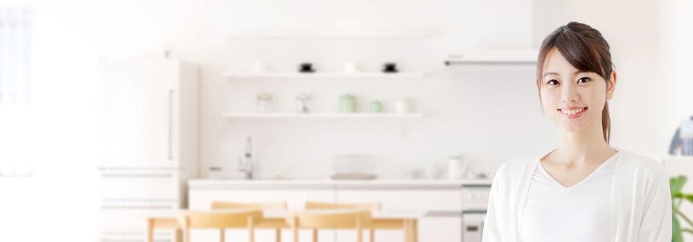 ���f���ƕt���������������l���f����ޏ��ɂ�����@